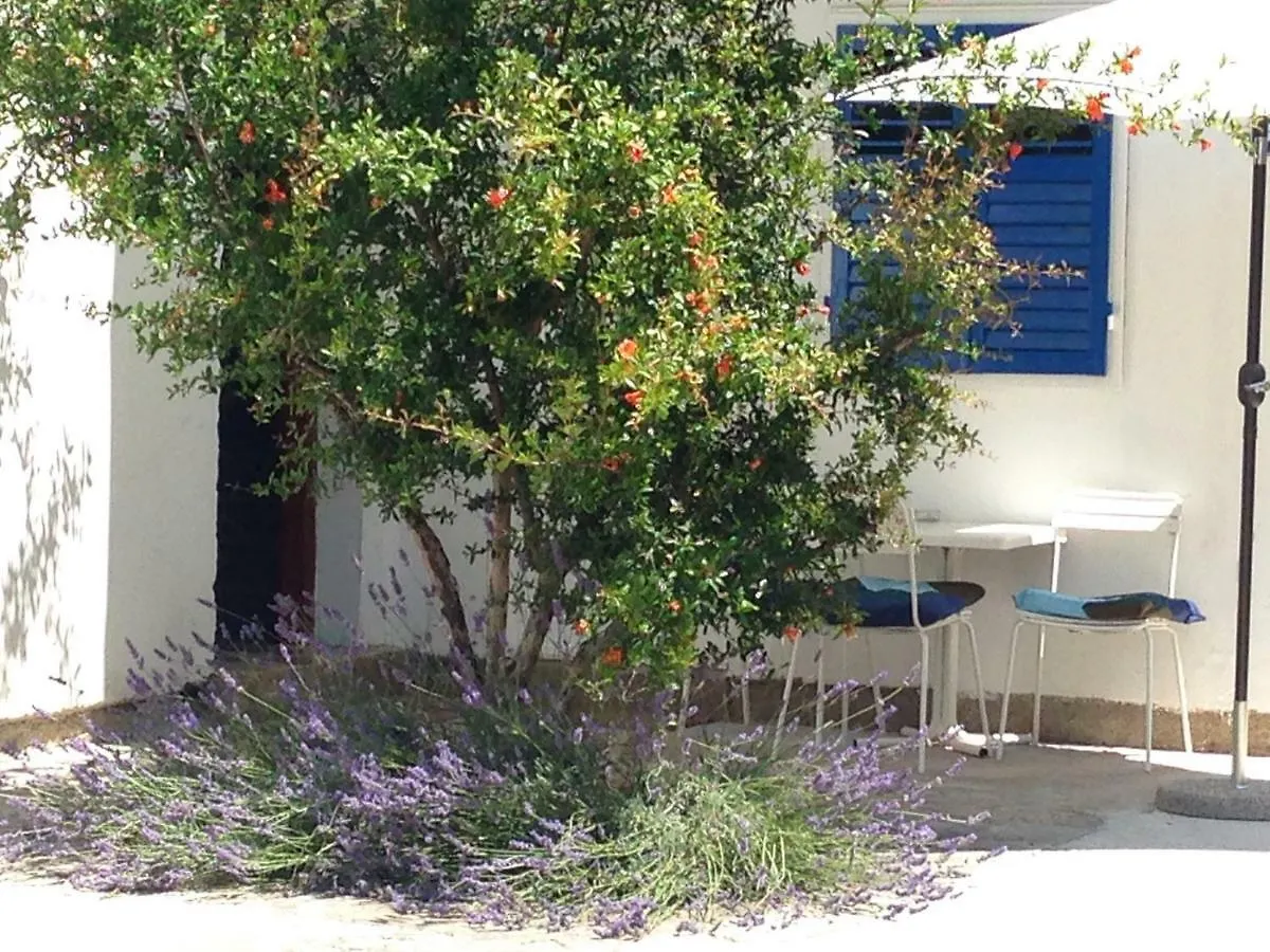 Studio Apartment Blue Window Biograd Na Moru 0*,  Chorvatsko